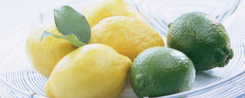 黃檸檬和青檸檬的區別是什麼