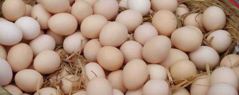 雞蛋有黑色斑點能吃嗎