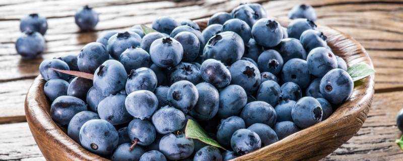 藍莓可以和什麼水果在一起榨汁