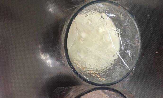 吉丁片怎麼做牛奶布丁