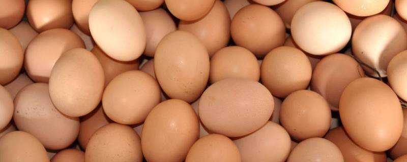 紅皮雞蛋和白皮雞蛋有什麼區別