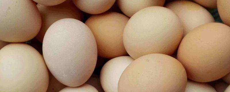 雞蛋可以用水洗嗎