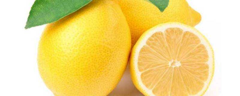 檸檬泡水長期飲用有害嗎