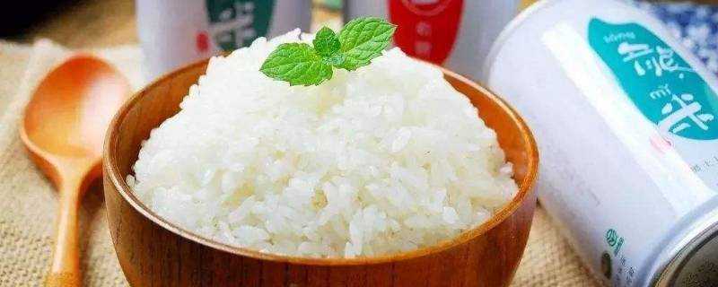 米飯保溫一夜能吃嗎