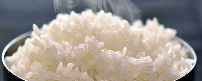 米飯冷凍後能吃嗎