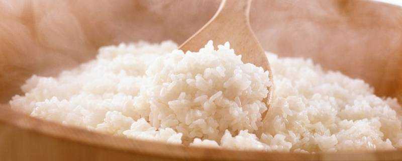 米飯糖分高嗎