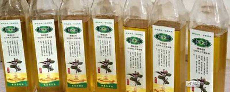 秋蘇籽油是什麼油