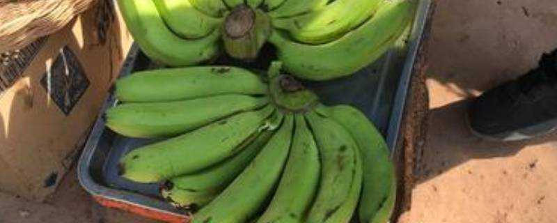 青香蕉怎麼儲存