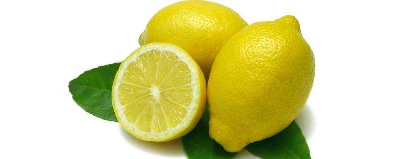 檸檬怎麼儲存時間長