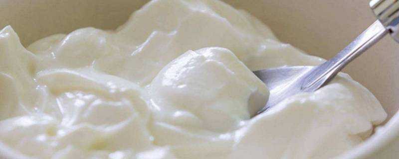 酸奶水澆花需發酵多久