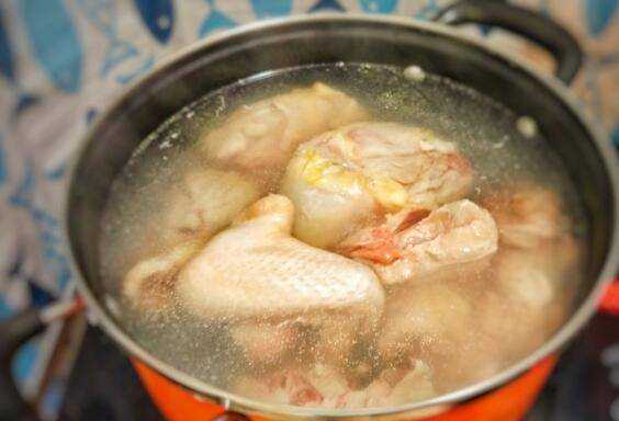 如何燉雞湯的做法