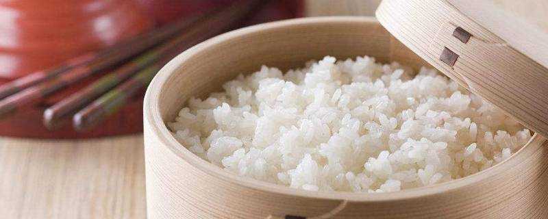 一個人蒸米飯放多少米