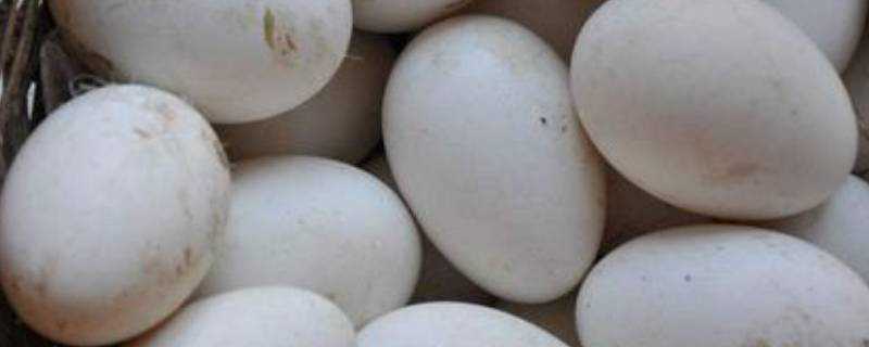 醃鵝蛋多長時間能吃