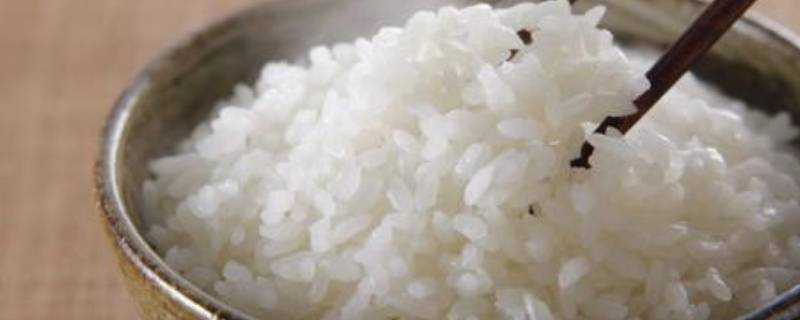 蒸米飯為何要放油