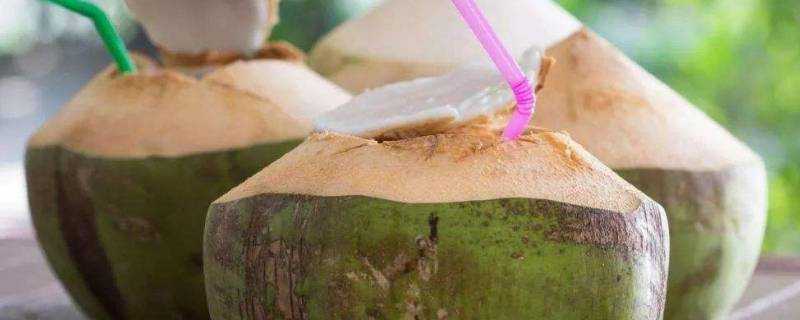 椰子怎麼開最簡單