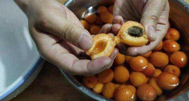 在家怎麼製作杏醋