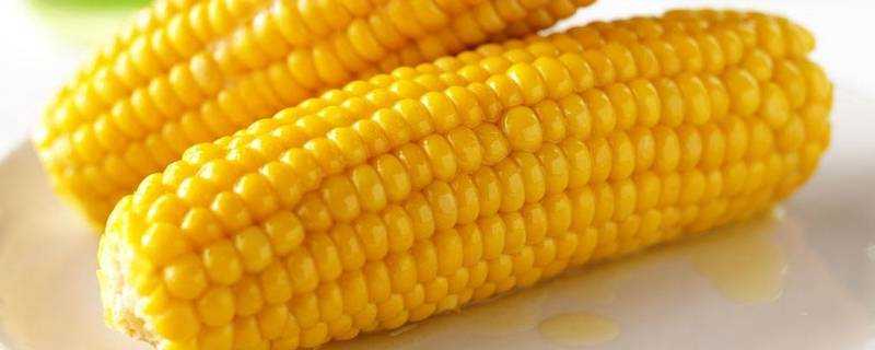 玉米是高纖維食物嗎