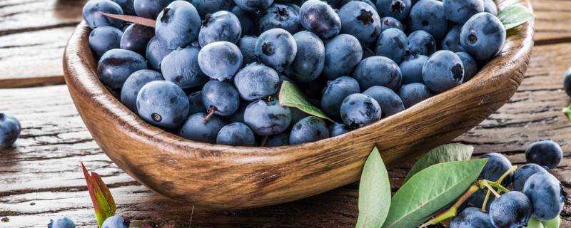 藍莓怎麼判斷髮黴