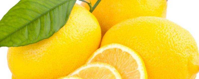 檸檬可以用冷水泡嗎