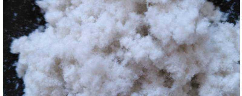 棉纖維和羊毛纖維的燃燒現象是什麼