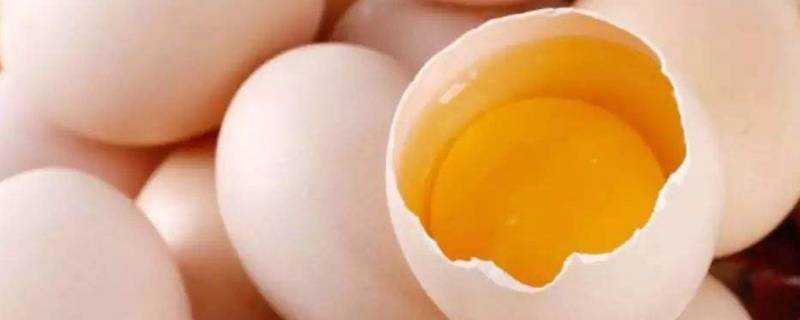 合成雞蛋怎麼辨別