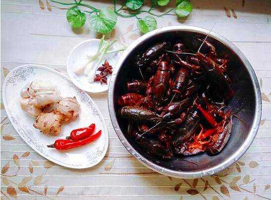 小龍蝦是日本人研究吃腐屍的嗎