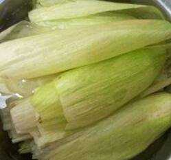 玉米葉子能包粽子嗎