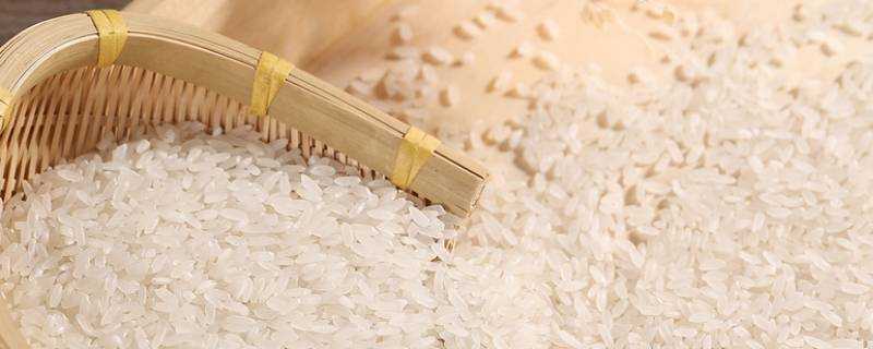 怎麼儲存米不會生蟲