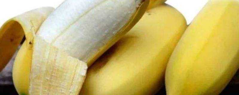 短短胖胖的香蕉叫什麼名字