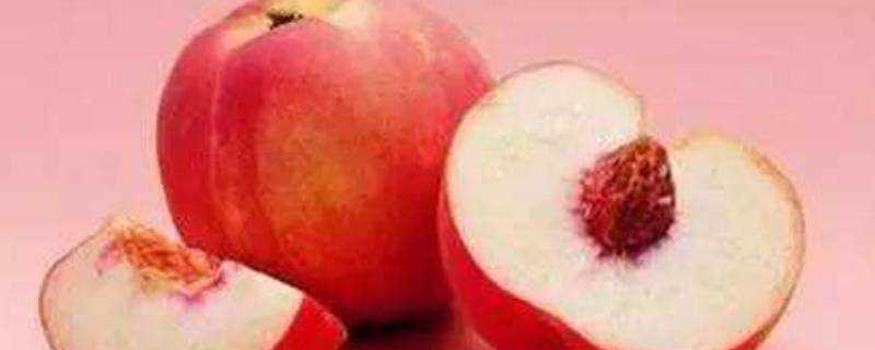 桃子跟西瓜一起吃會中毒嗎