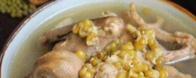 鴿子綠豆湯怎麼煲