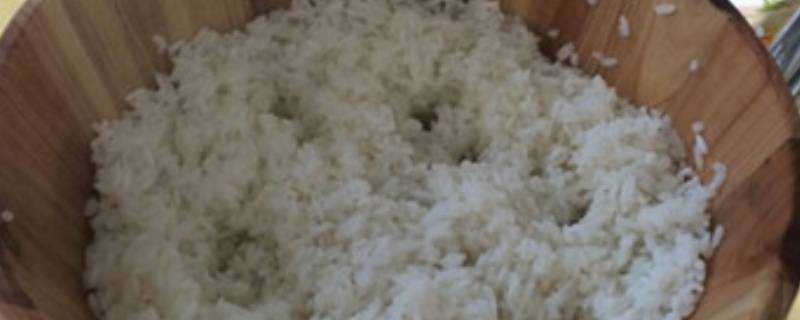蒸子蒸米飯教程
