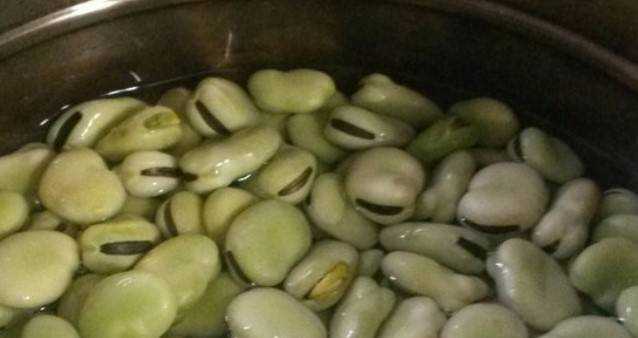 新鮮嫩蠶豆怎麼儲存到冬天吃