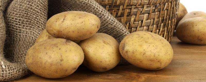 土豆在地裡就變綠能吃嗎
