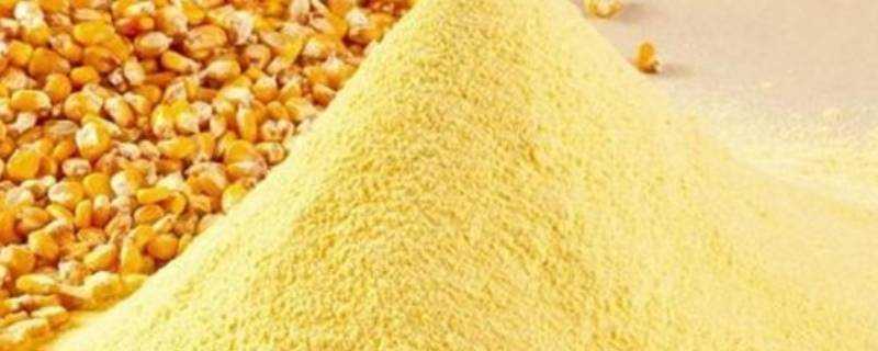 單獨玉米粉能做什麼