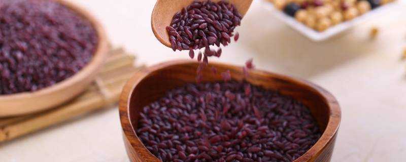 紫米怎麼蒸容易熟