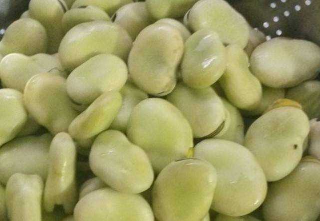新鮮嫩蠶豆怎麼儲存到冬天吃