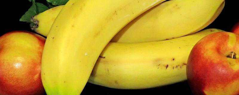 蘋果和香蕉放在一起有什麼作用