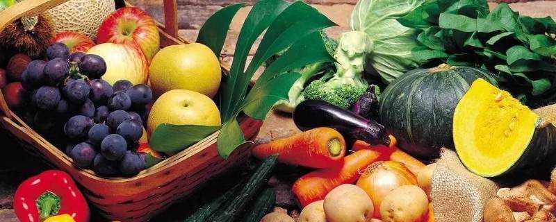 含蛋白質的蔬菜水果有什麼