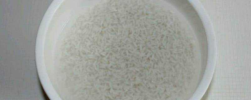 一斤米夠幾個人吃