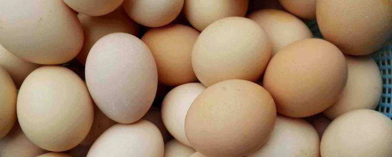 雞蛋可以隔夜加熱吃嗎