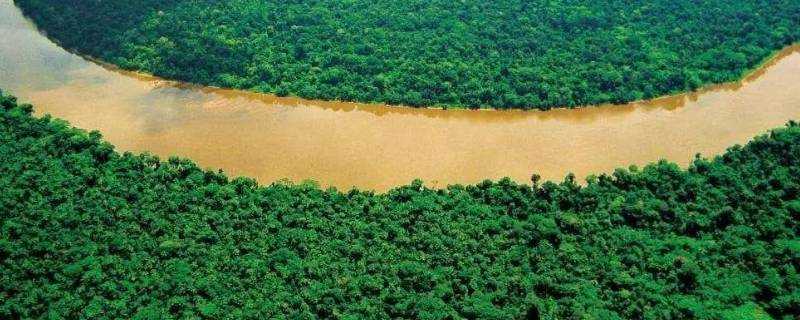熱帶雨林有什麼危險的東西