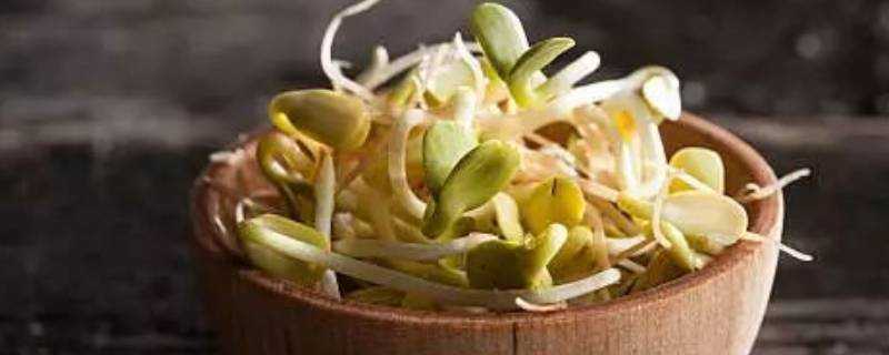 發芽的豌豆能吃嗎 帶芽帶豆