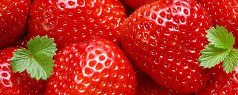 草莓一半紅一半白能不能吃