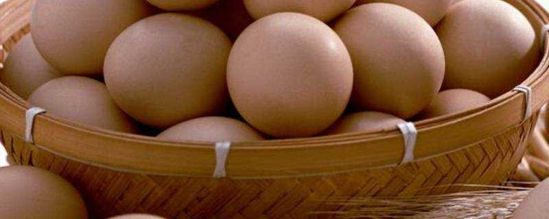 笨雞蛋和普通雞蛋有什麼區別