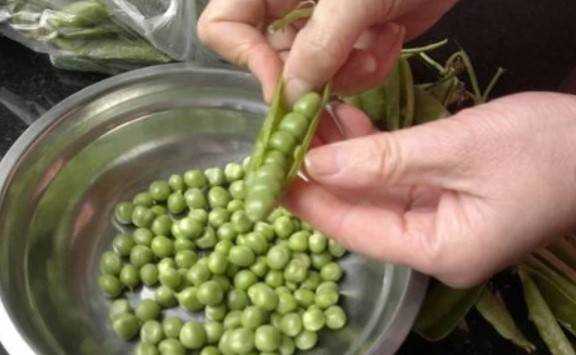 豌豆的儲存方法可以長期使用