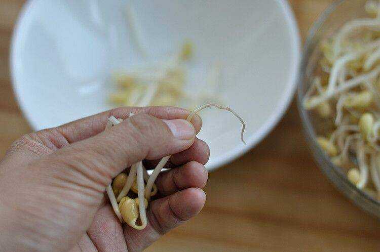 豆芽怎麼做好吃炒