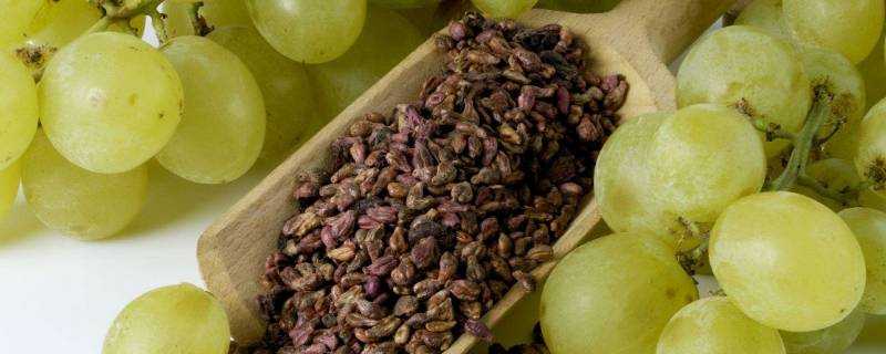 吃葡萄籽要避開經期嗎