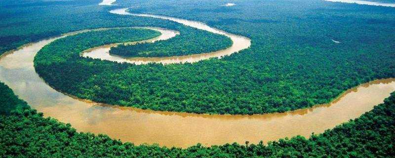 最大的熱帶雨林是哪裡