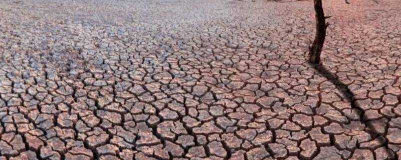 乾旱發生在什麼地區